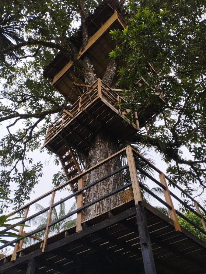 Biohotel Arara River Leticia Extérieur photo