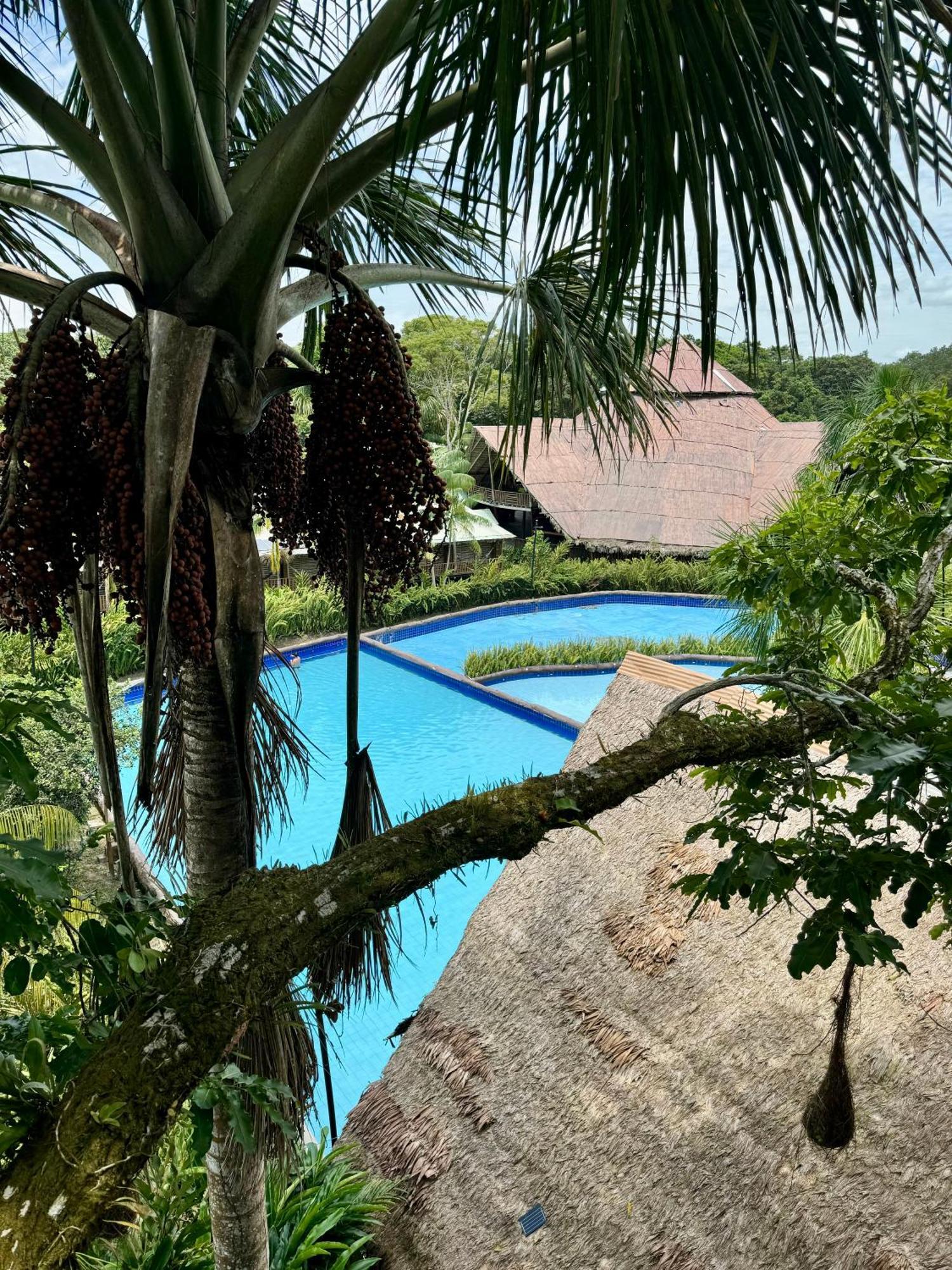 Biohotel Arara River Leticia Extérieur photo