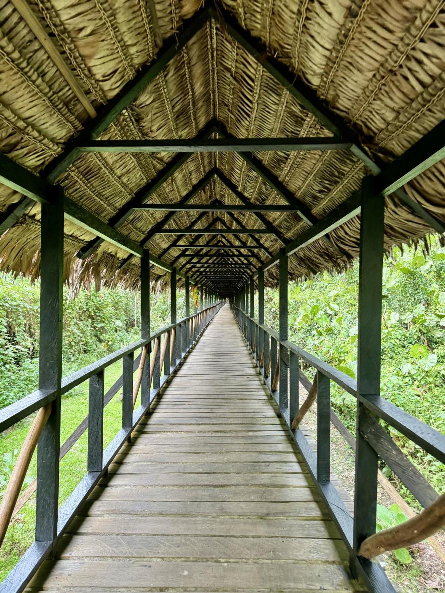 Biohotel Arara River Leticia Extérieur photo
